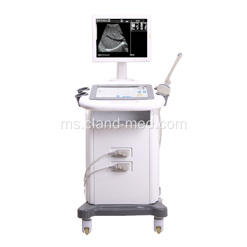 B / W Trolley Ultrasound Pengimbas Mesin Ultrasound Harga Baik